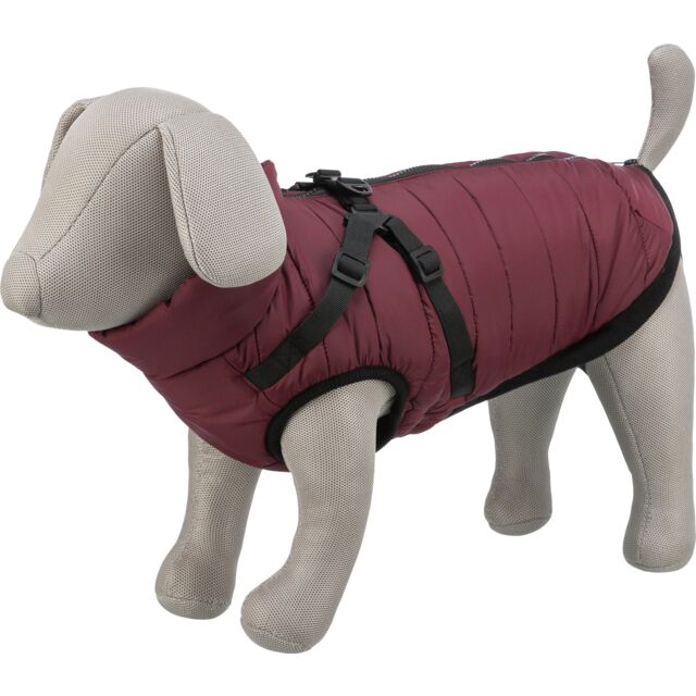 Trixie Pirou žieminė striukė su petnešom, S: 40 cm, t.raudona