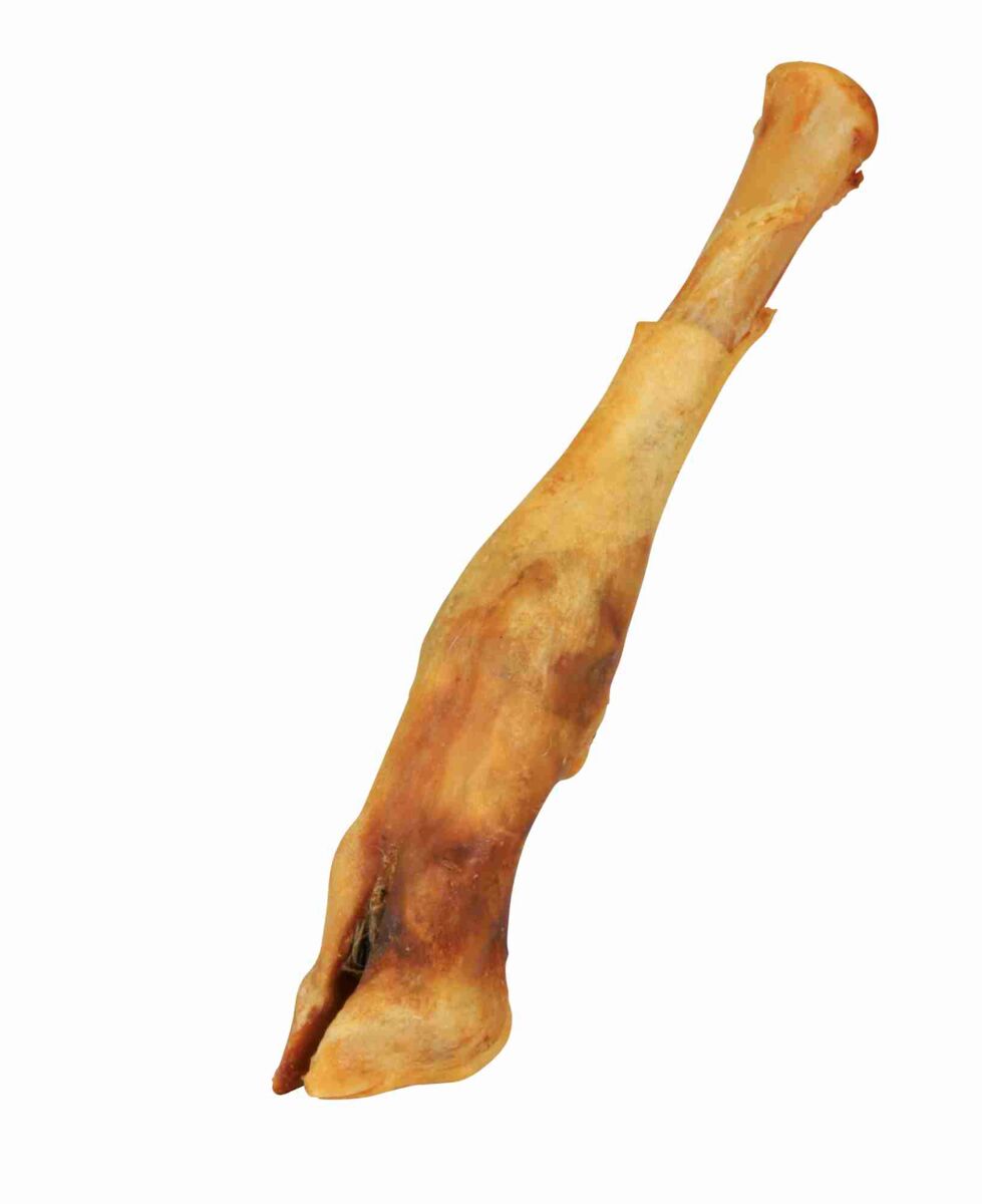 Trixie Ėriuko koja džiovinta 16–18 cm
