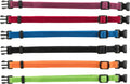 Trixie Junior Antkaklių kompl., S–M 17–25 cm/10 mm, 6 vnt. juodas, raudonas, mėlynas (pak. 6 vnt.)