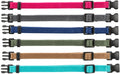 Trixie Junior Antkaklių kompl., M–L 22–35 cm/10 mm, 6 vnt. fuksija, grafito, ind (pak.4)