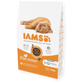 IAMS Kitten (vištiena) 10kg