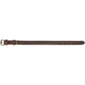 Trixie Rustic rieb. odos antkaklis, M 37-44cm/25mm, tams. rudas